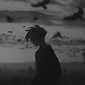 Rohan K.